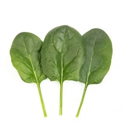 Эврино F1 - семена шпината, 100г., Libra Seeds